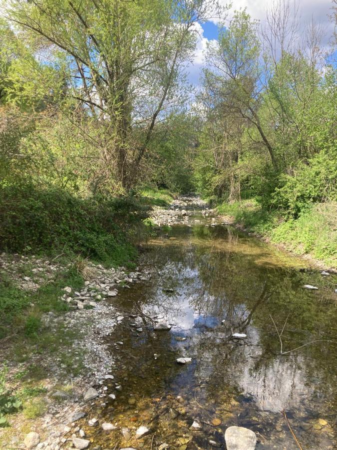 Chambres Et Gite En Cevennes Cros  Esterno foto